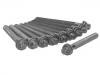 Zylinderkopfschraube Cylinder Head Bolt:0204.A0